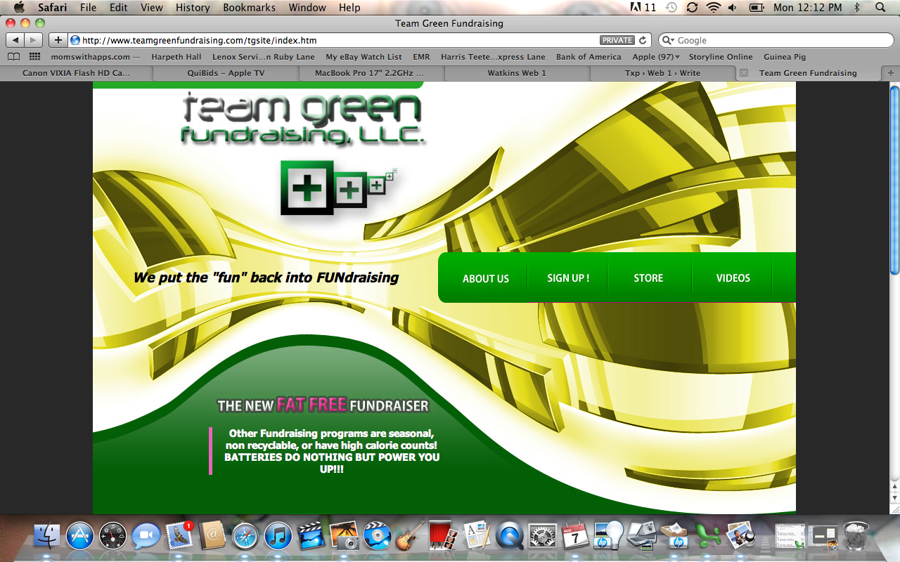 http://www.teamgreenfundraising.com/